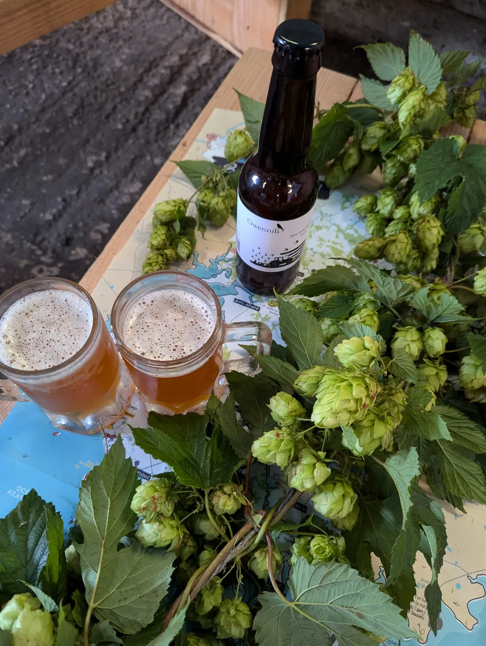 ipa en verre, branche de houblon
